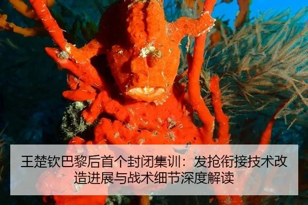 wang-chu-qin-ba-li-hou-shou-ge-feng-bi-ji-xun-fa-qiang-xian-jie-ji-shu-gai-zao-jin-zhan-yu-zhan-shu-xi-jie-shen-du-jie-1-485.jpg